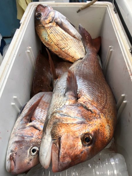 第二八坂丸 釣果