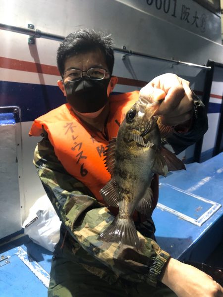 ヤザワ渡船 釣果