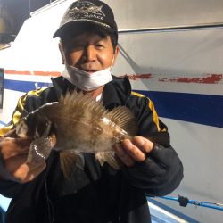 ヤザワ渡船 釣果