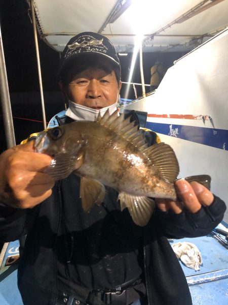 ヤザワ渡船 釣果