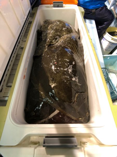 第二八坂丸 釣果