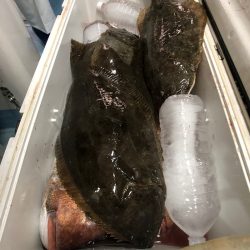 第二八坂丸 釣果