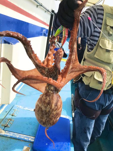 ヤザワ渡船 釣果