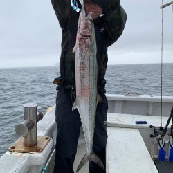 ランスルー 釣果