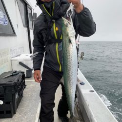 ランスルー 釣果