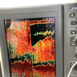 Monster Rush! 釣果