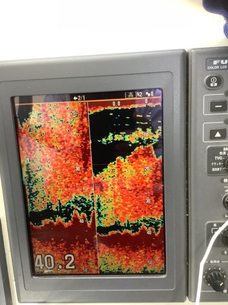 Monster Rush! 釣果