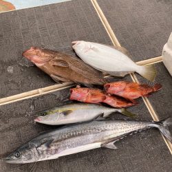 Monster Rush! 釣果