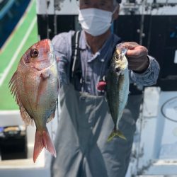 丸万釣船 釣果