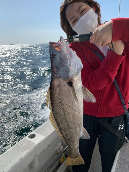 ランスルー 釣果