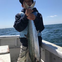 ランスルー 釣果