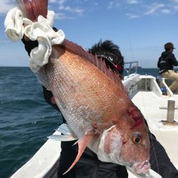 ランスルー 釣果