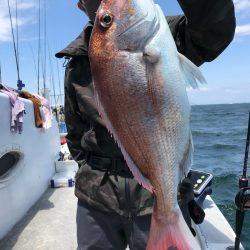 ランスルー 釣果