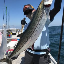 ランスルー 釣果