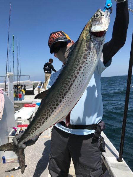 ランスルー 釣果