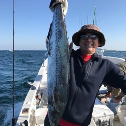 ランスルー 釣果