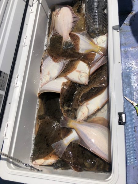 第二　つれたか丸 釣果