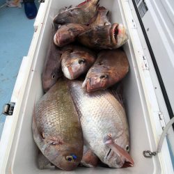 第二八坂丸 釣果