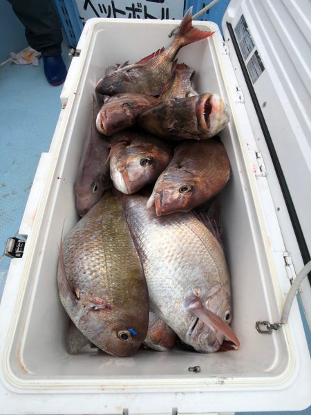 第二八坂丸 釣果