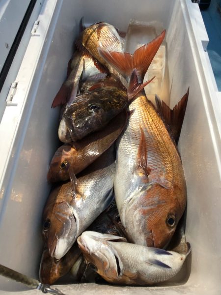 第二八坂丸 釣果