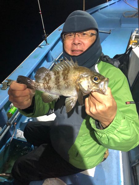 ヤザワ渡船 釣果