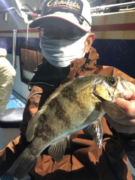 ヤザワ渡船 釣果