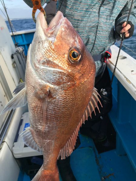太平丸 釣果