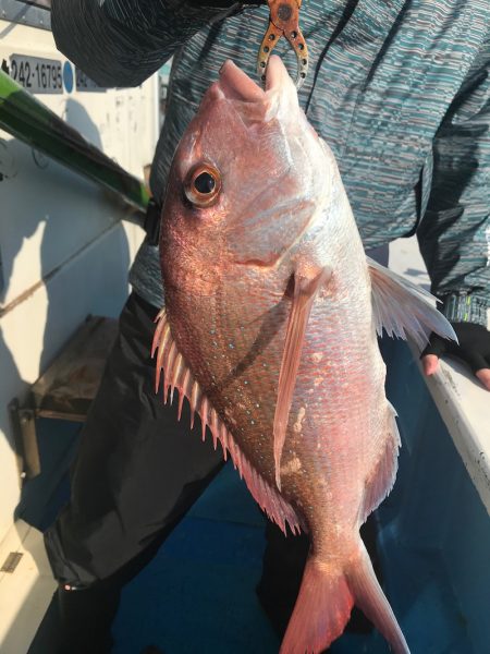 太平丸 釣果