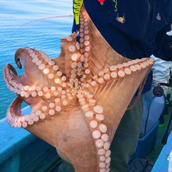 ヤザワ渡船 釣果