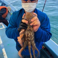 ヤザワ渡船 釣果