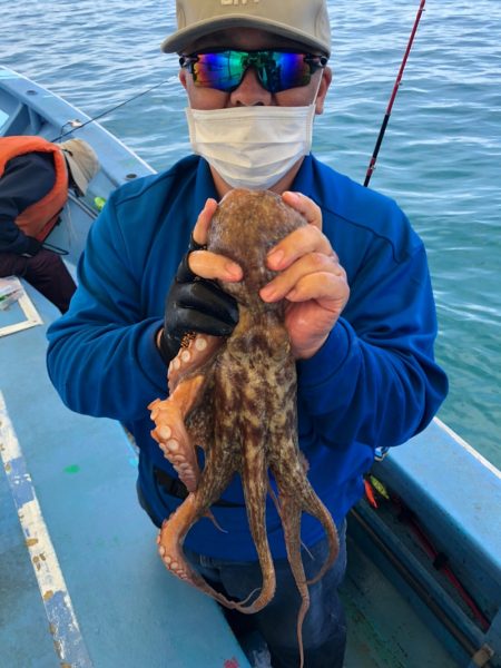 ヤザワ渡船 釣果
