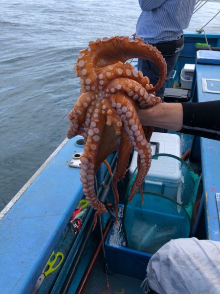 ヤザワ渡船 釣果