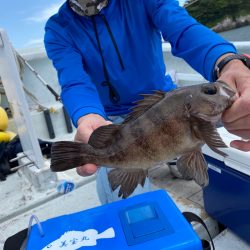 美宝丸 釣果