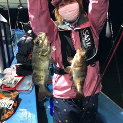 ヤザワ渡船 釣果