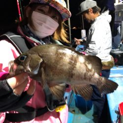 ヤザワ渡船 釣果