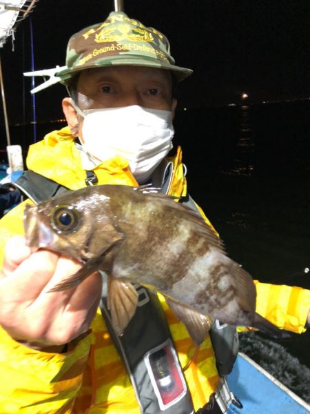 ヤザワ渡船 釣果
