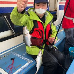 ヤザワ渡船 釣果