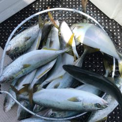 釣人家 釣果