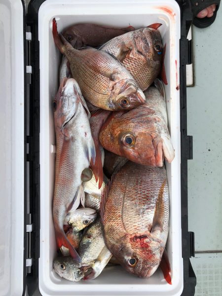 フィッシング キッタカ 釣果