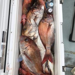 フィッシング キッタカ 釣果