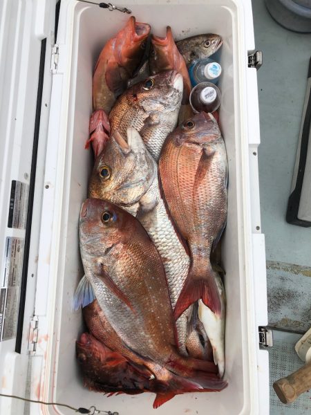 フィッシング キッタカ 釣果