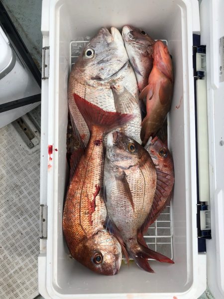 フィッシング キッタカ 釣果