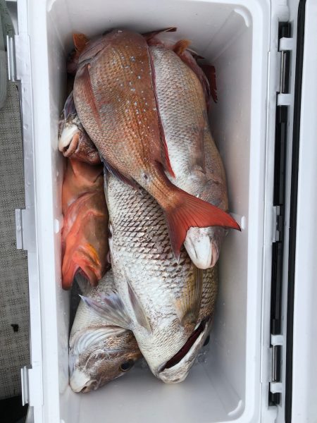 フィッシング キッタカ 釣果