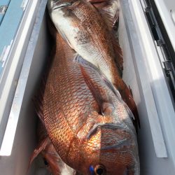 第二八坂丸 釣果