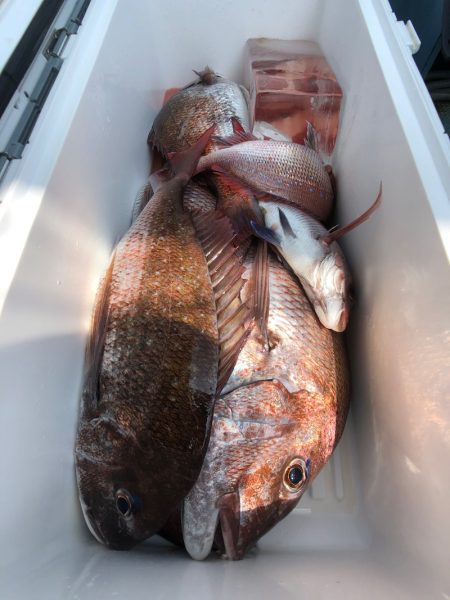 第二八坂丸 釣果