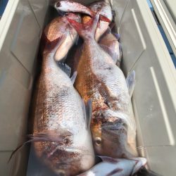 第二八坂丸 釣果