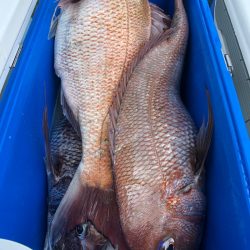 第二八坂丸 釣果