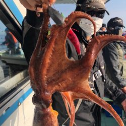 ヤザワ渡船 釣果