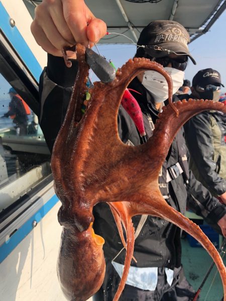 ヤザワ渡船 釣果