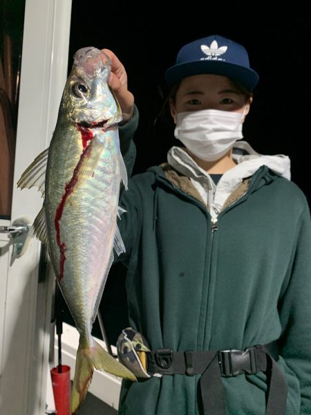 エヌスタイル 釣果